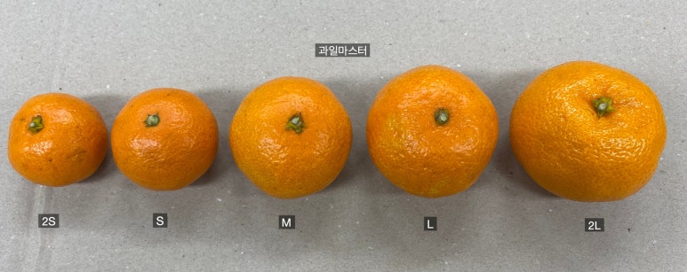 돌빌레 이미지