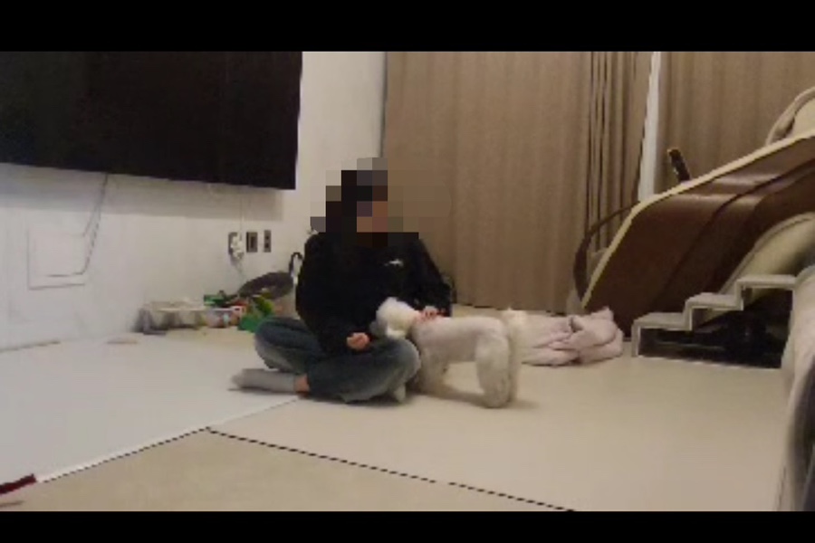 강남 다펫 강아지 돌봄 및 산책 서비스 이용 후기 — 사진 6