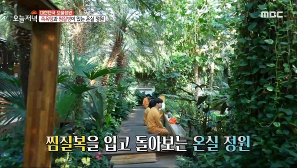 벤자민정원 이미지