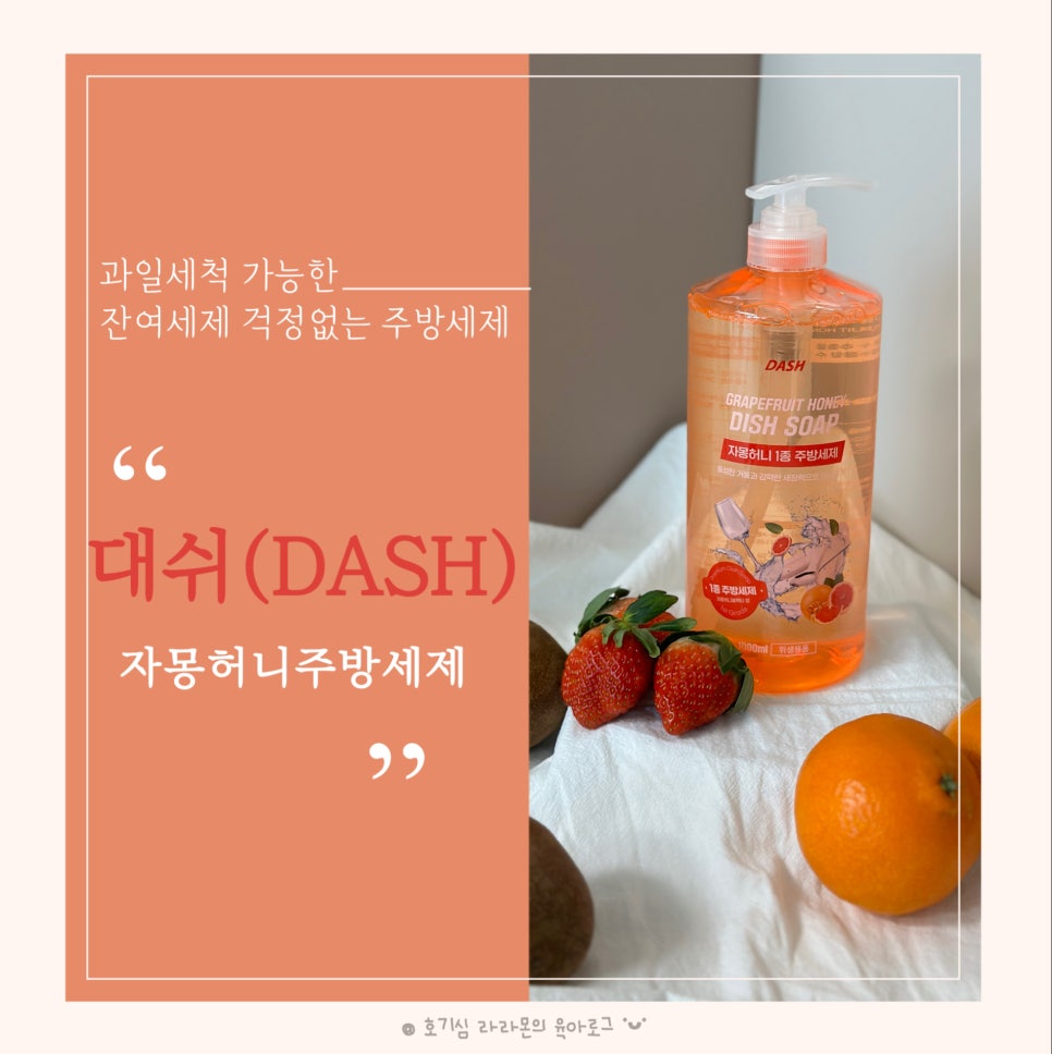 베어블 이미지