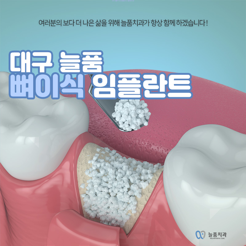 (주)늘품정보 이미지