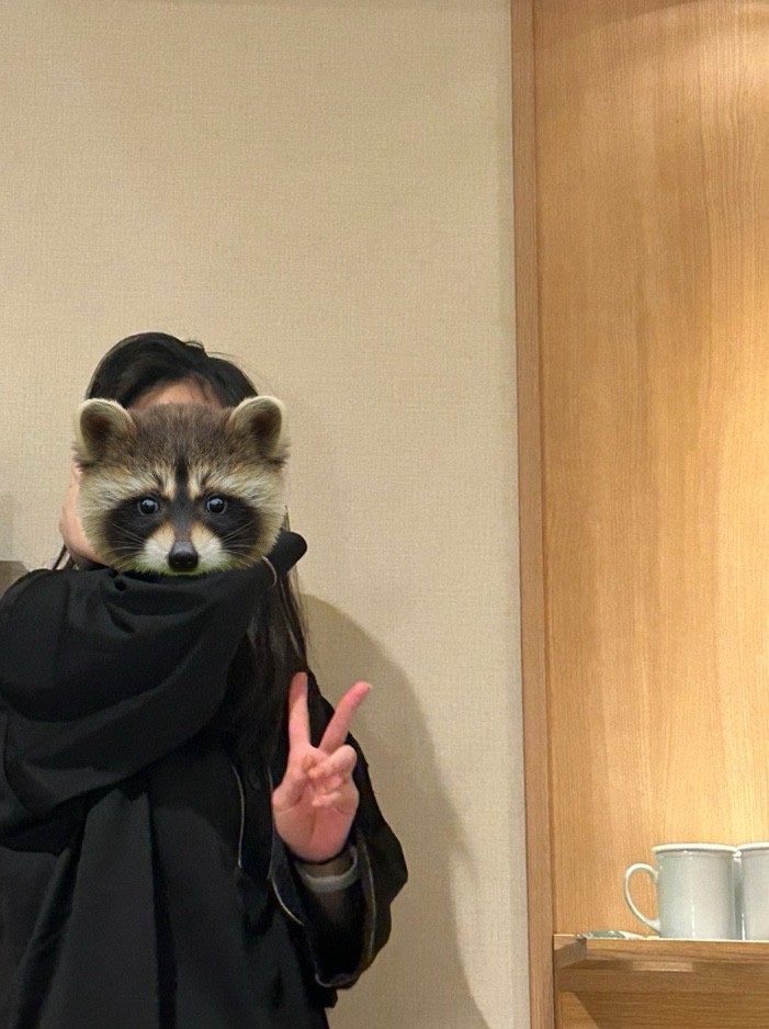 오하요 이미지
