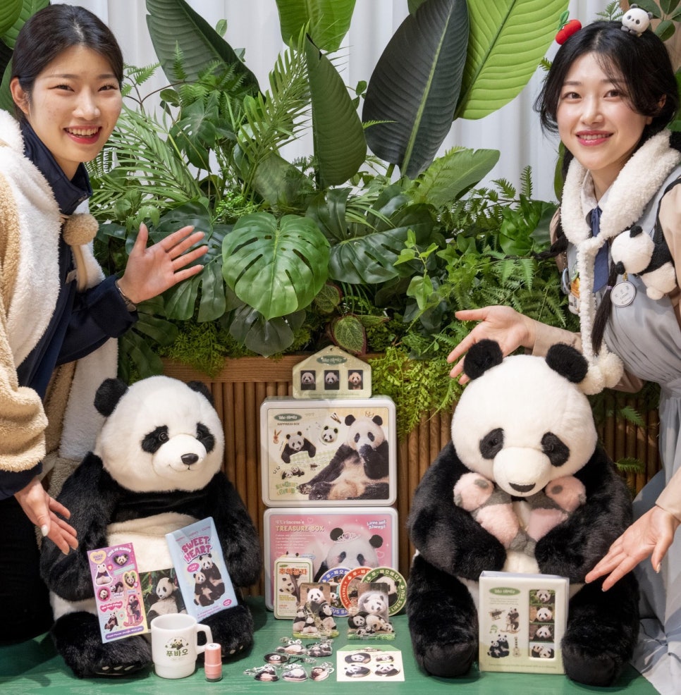 평범상점 이미지