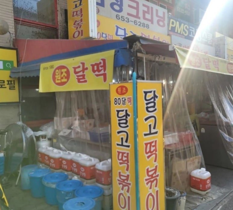 83돼지 이미지