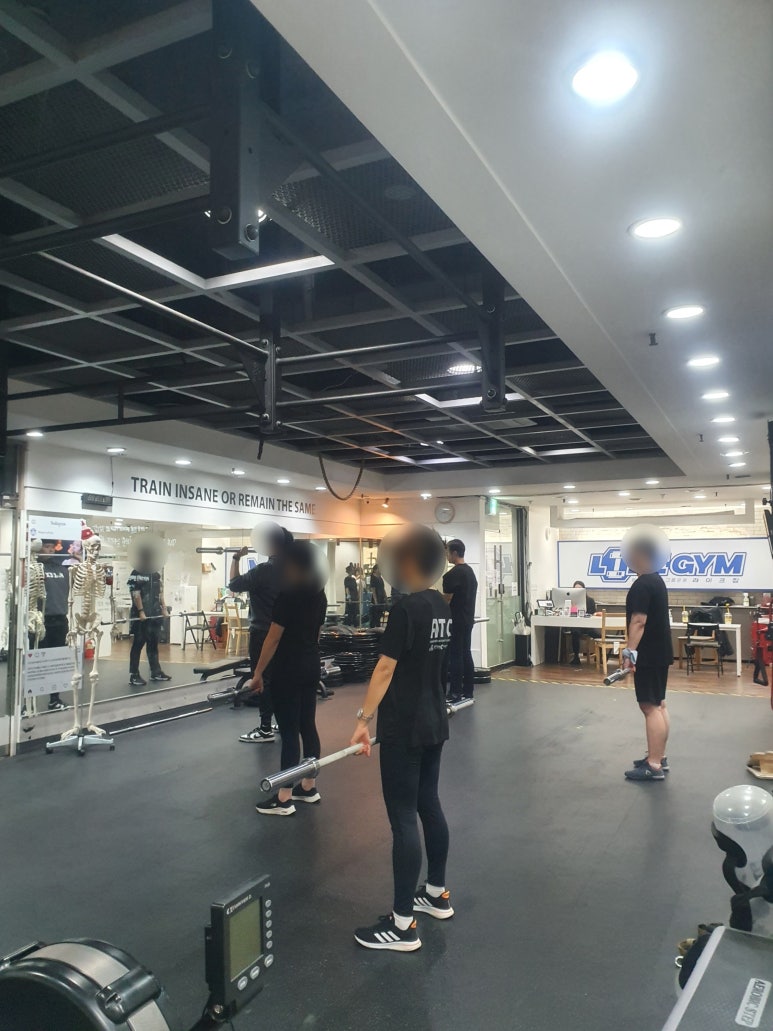 수라이크 이미지