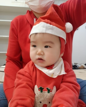 도미솔악기 이미지