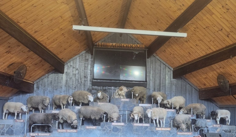 투어 팜(TOUR FARM) 이미지