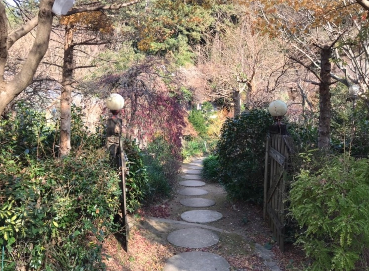 분재전통다원 이미지