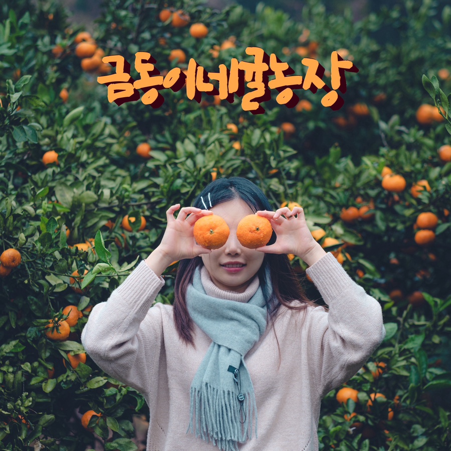 금동농장 이미지