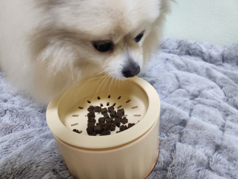 꼬믈리 이미지