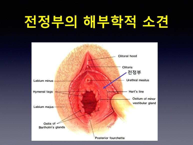 예화인여성의원 이미지