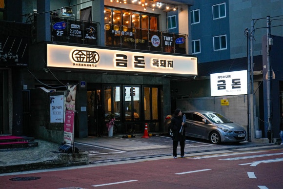 금돈돼지 이미지