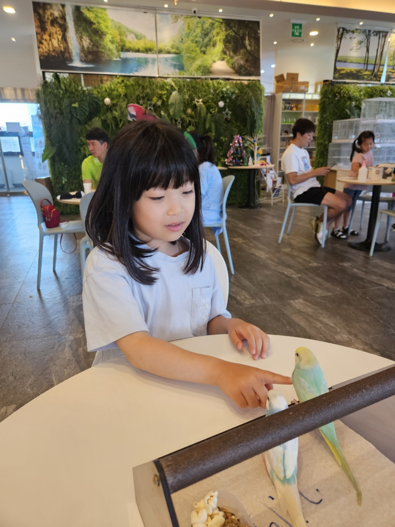 버드리전주 이미지