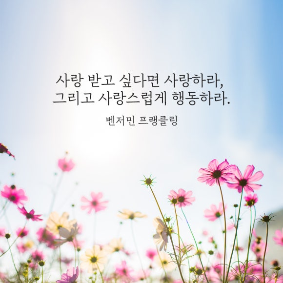 365안락한치과 이미지