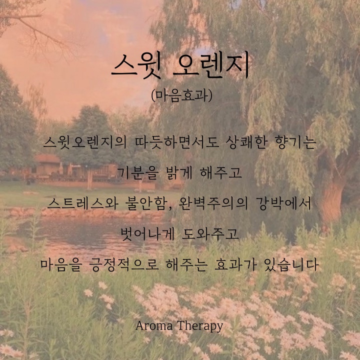 오렌지아로마 이미지