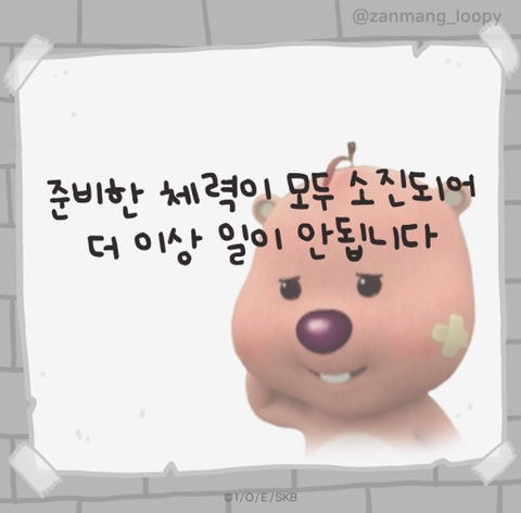 새로미김밥 이미지