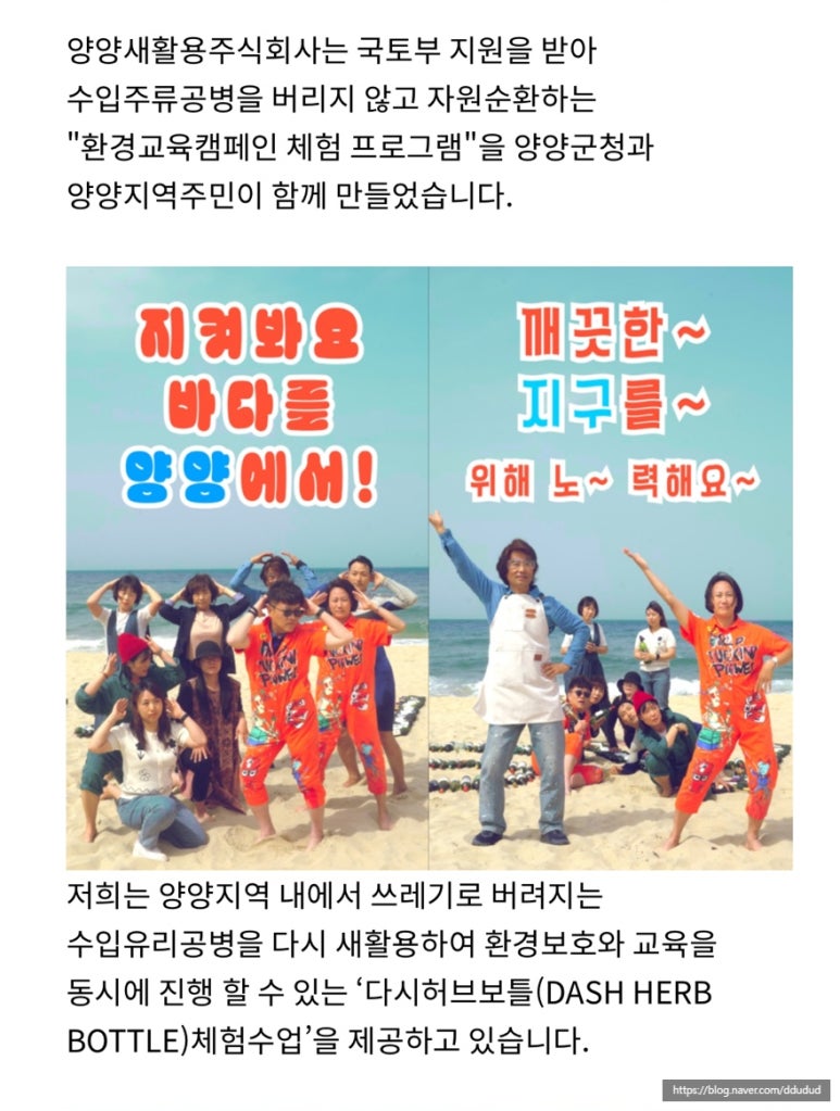 양양새활용 이미지