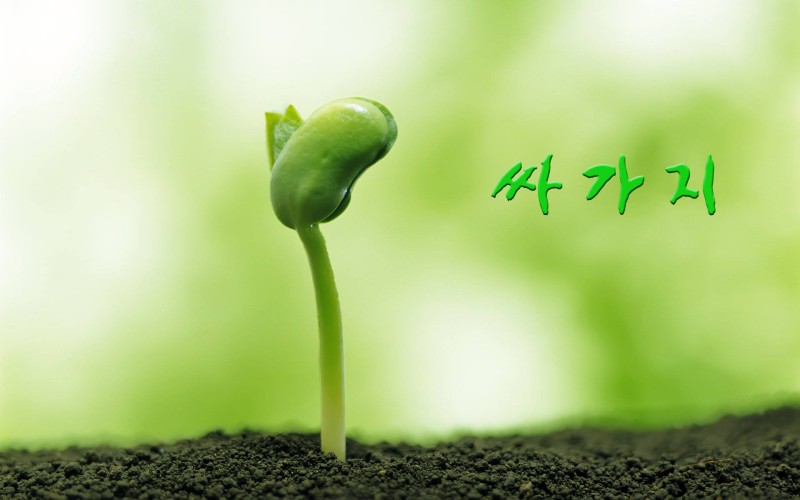세무법인택스테크 이미지