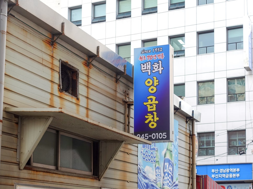 곱창에진심인여자 이미지