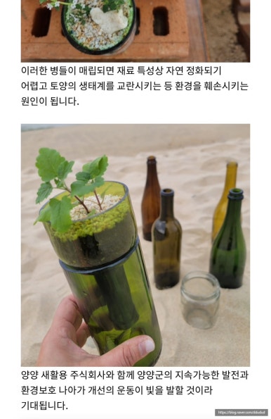 양양새활용 이미지