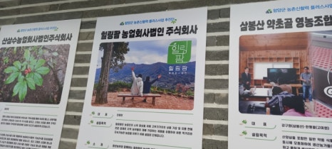 법인팜웨이브 이미지