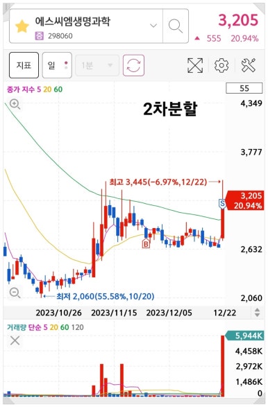 디에스피전자 이미지