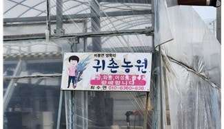 비봉울금 이미지