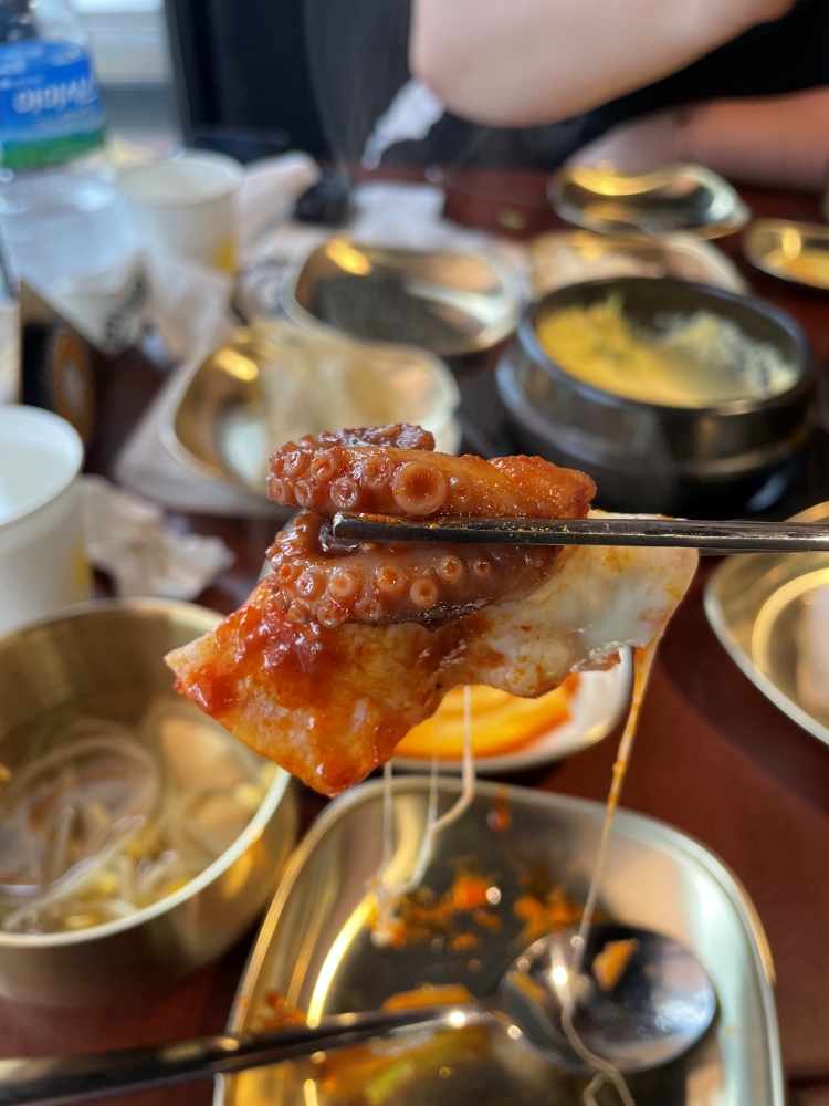 쭈꾸미집 이미지