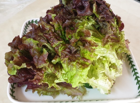 영농조합법인 나눔과섬김 이미지