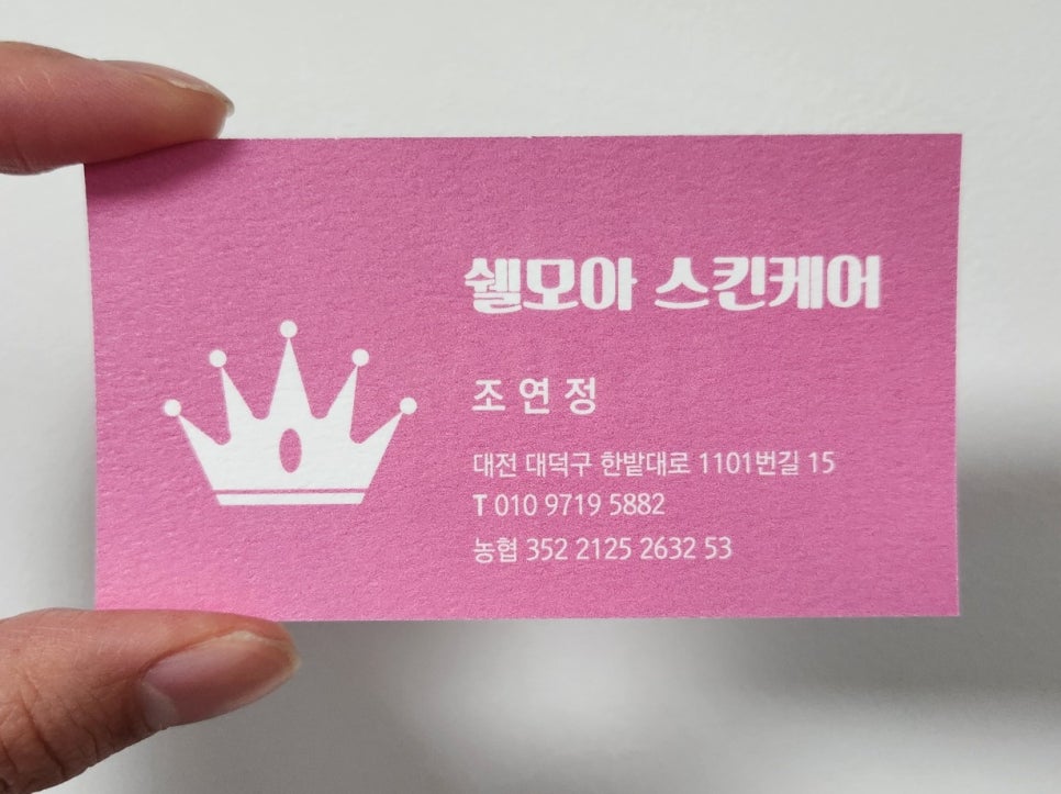 쉘모아 이미지
