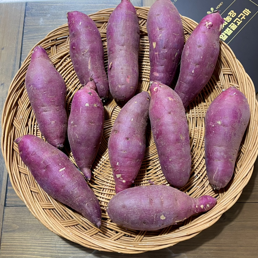 써니농장 이미지