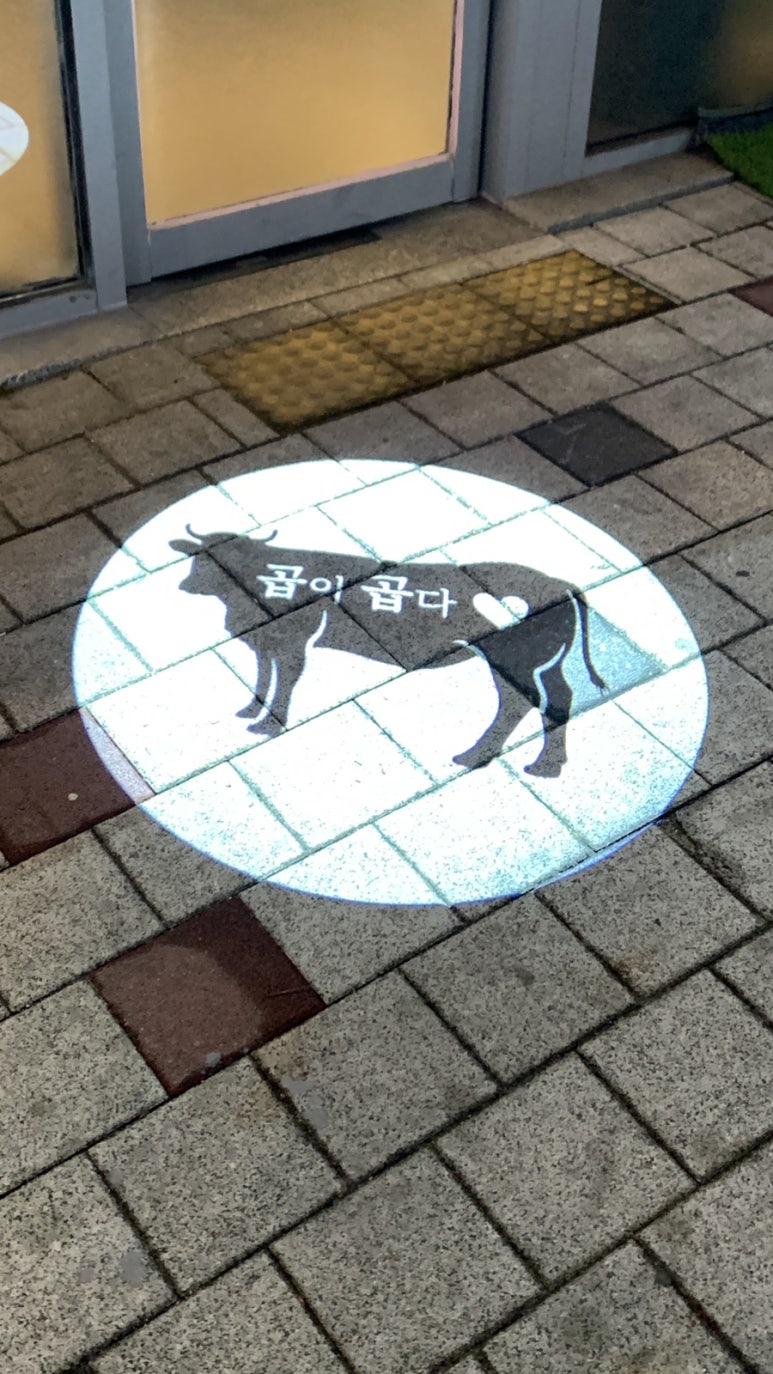 대구곱이곱다대구 이미지