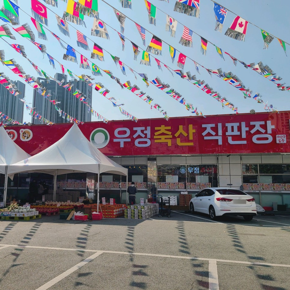 미트피아 이미지