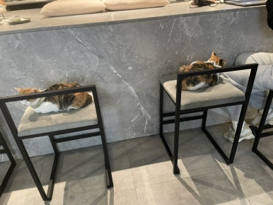 카페화산 이미지