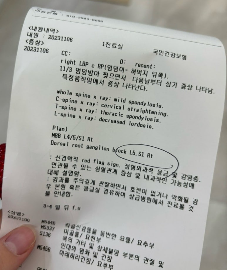 땅콩노래타운 이미지