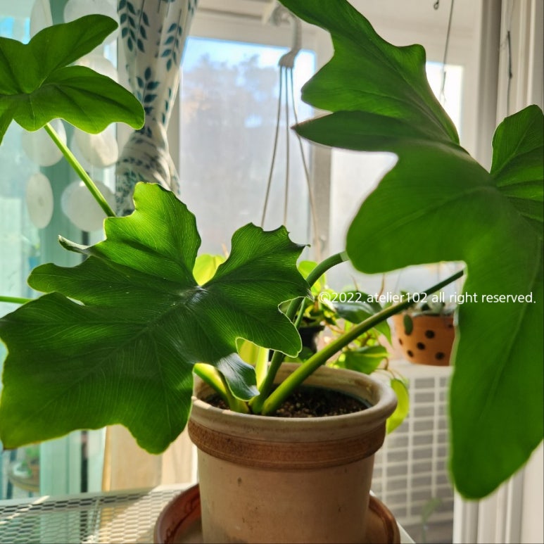 아뜰리에102 이미지