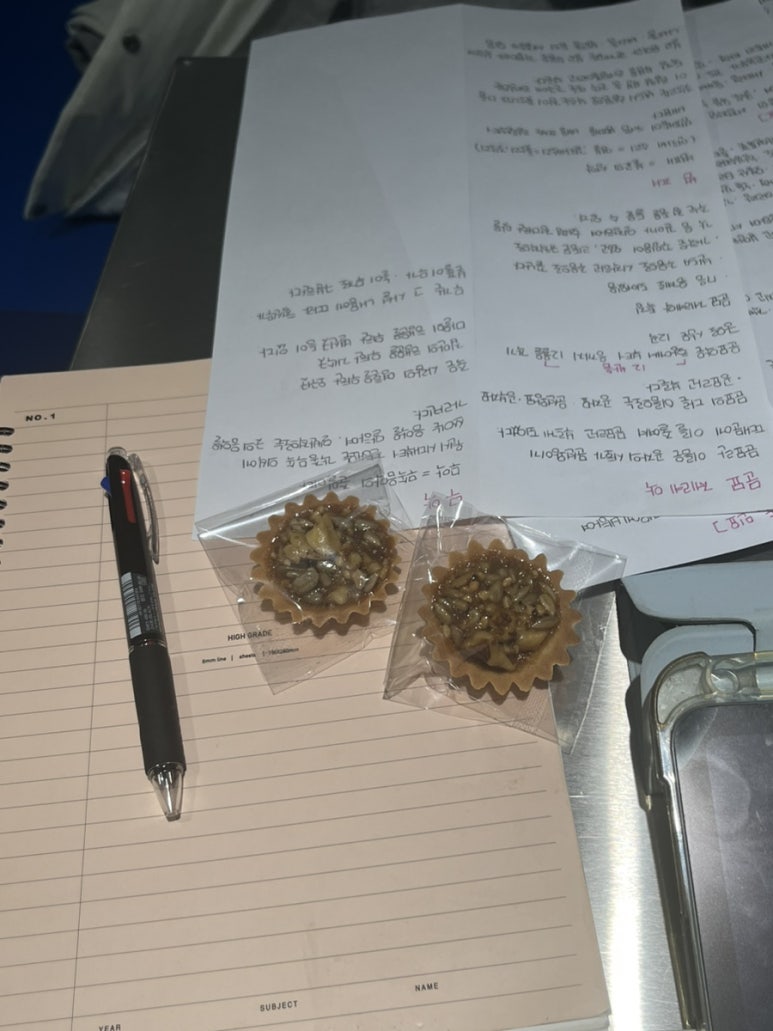 인세미 이미지