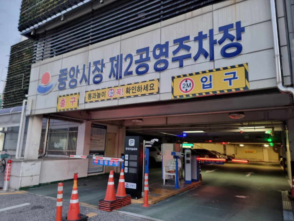 훔친물고기오늘바다에서 이미지