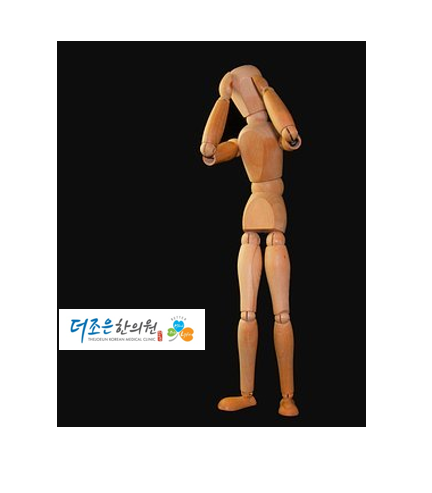 핑시화 이미지