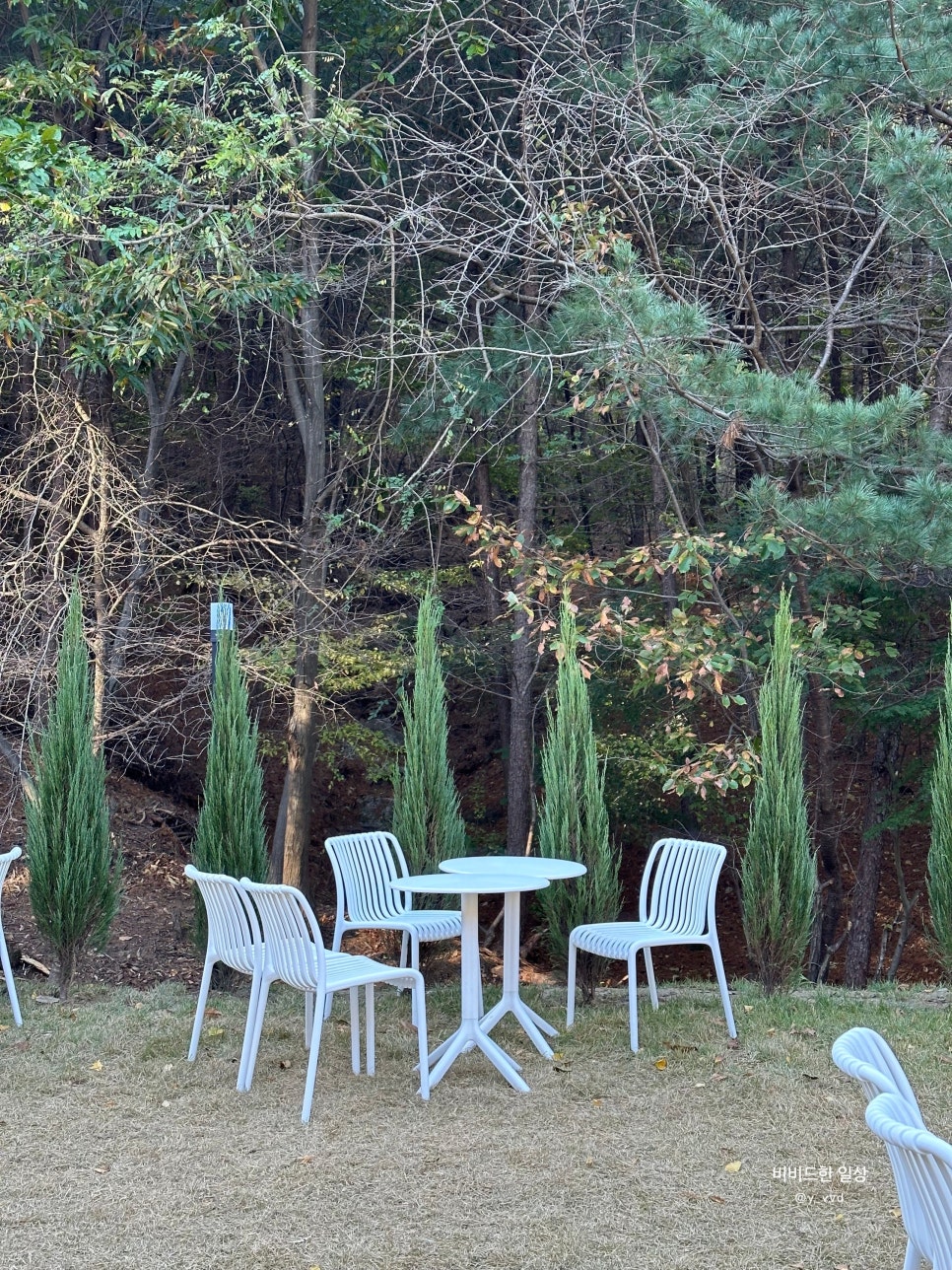레포레스트(REFOREST) 이미지