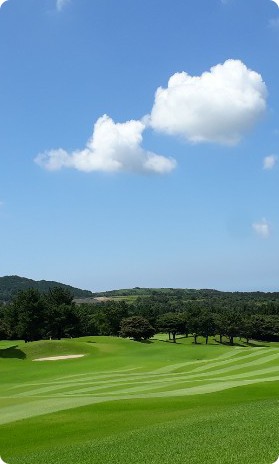 (주)캐슬렉스제주 이미지