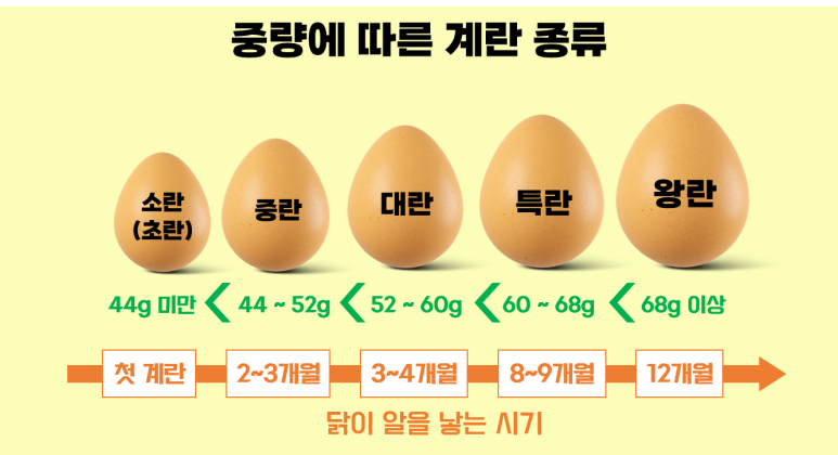 좋은계란할인점 이미지