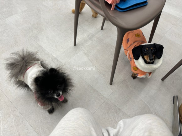 개스트하우스 청주점 이미지