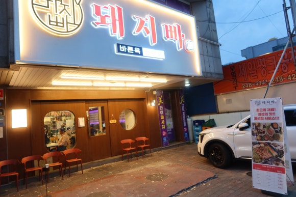 흥분돼지 이미지