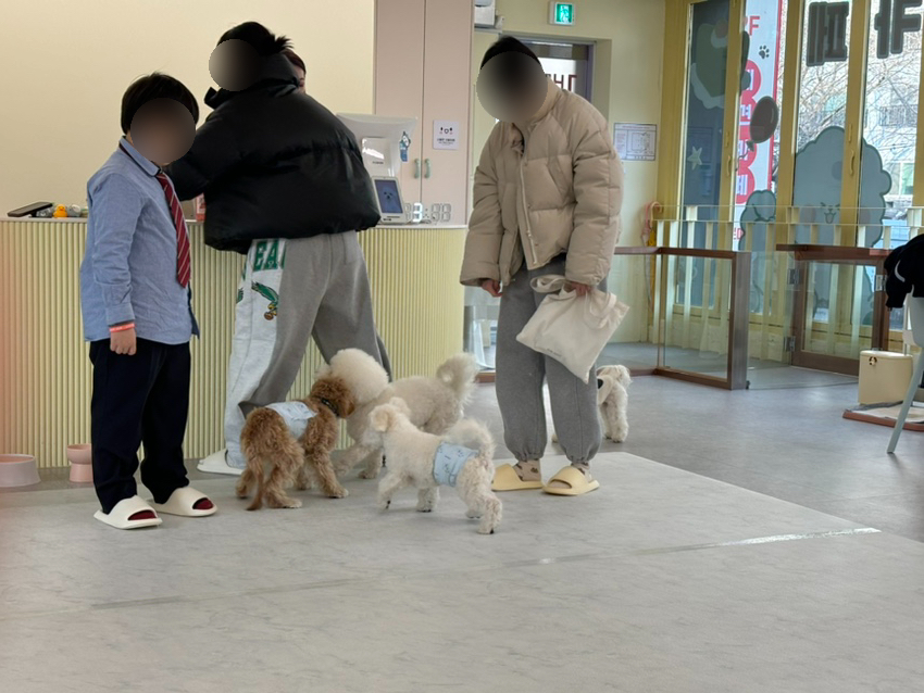 개르메스 이미지