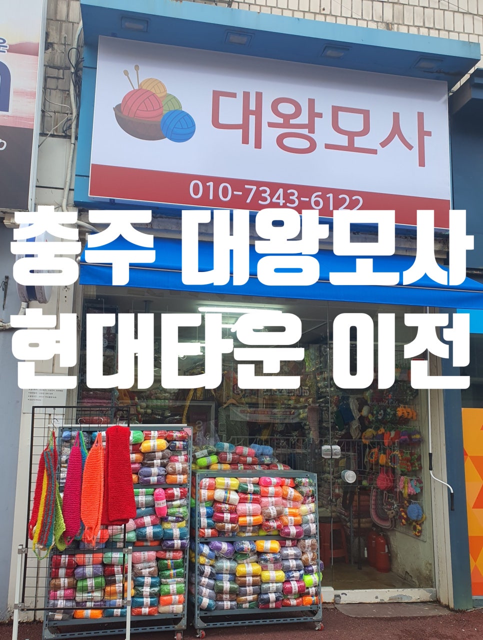 대왕모사 이미지
