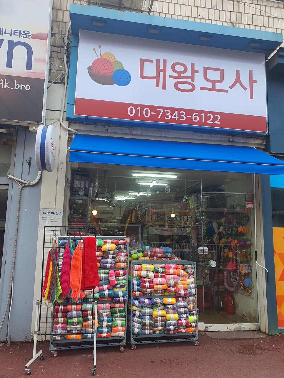 대왕모사 이미지