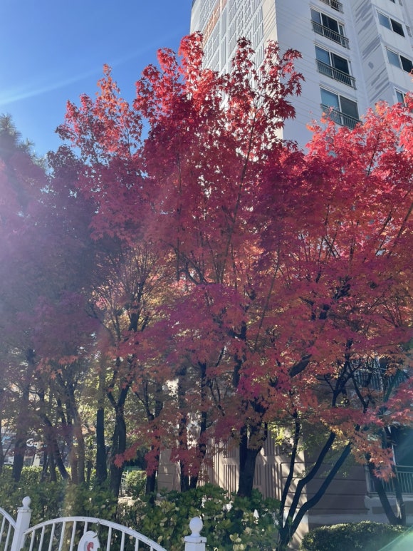 파스타빌런울산 이미지