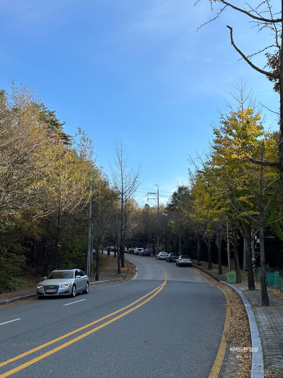 레포레스트(REFOREST) 이미지