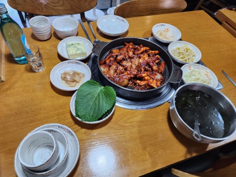 조가네갑오징어 송도점 이미지